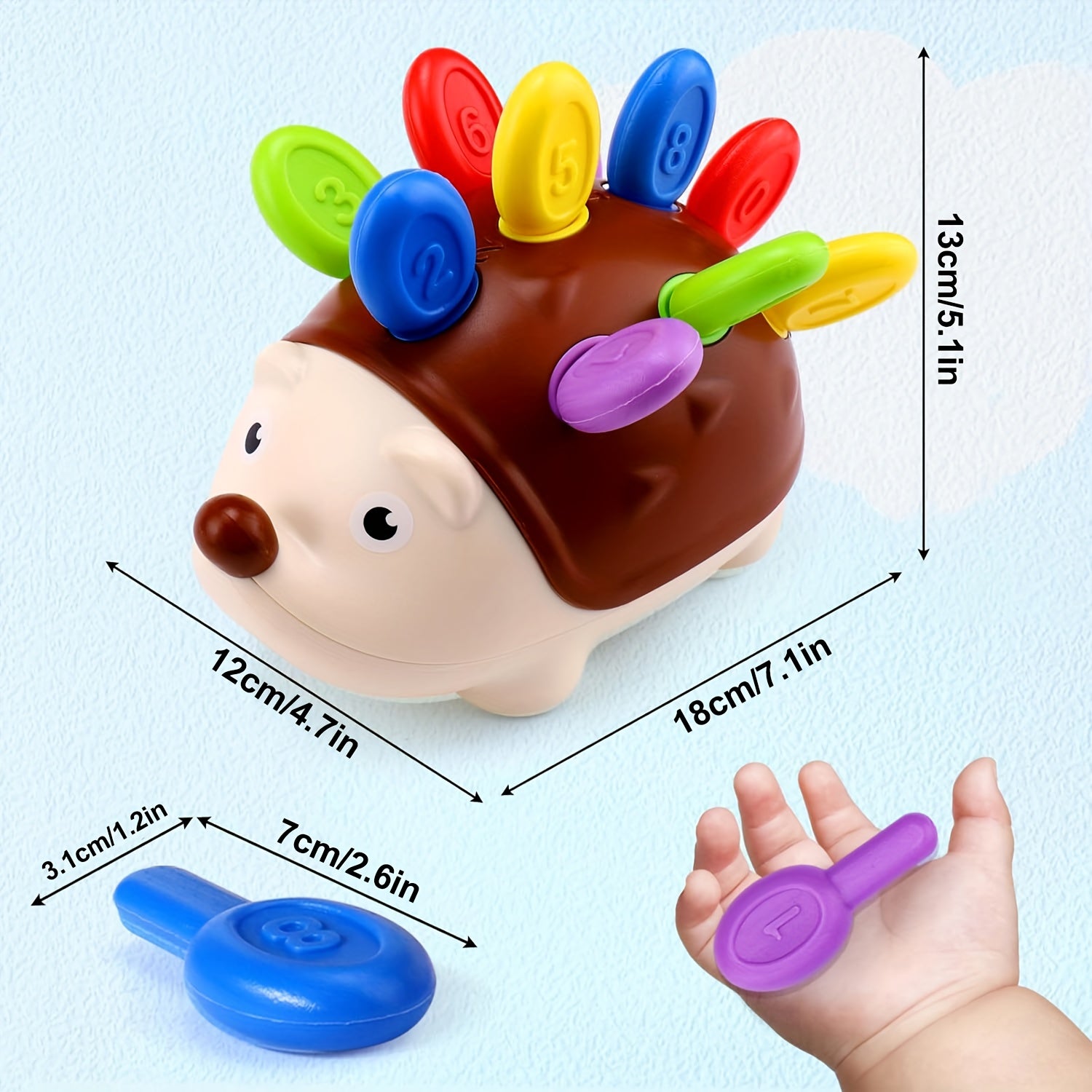 Riccio Educativo Giocattolo - Impara e Gioca