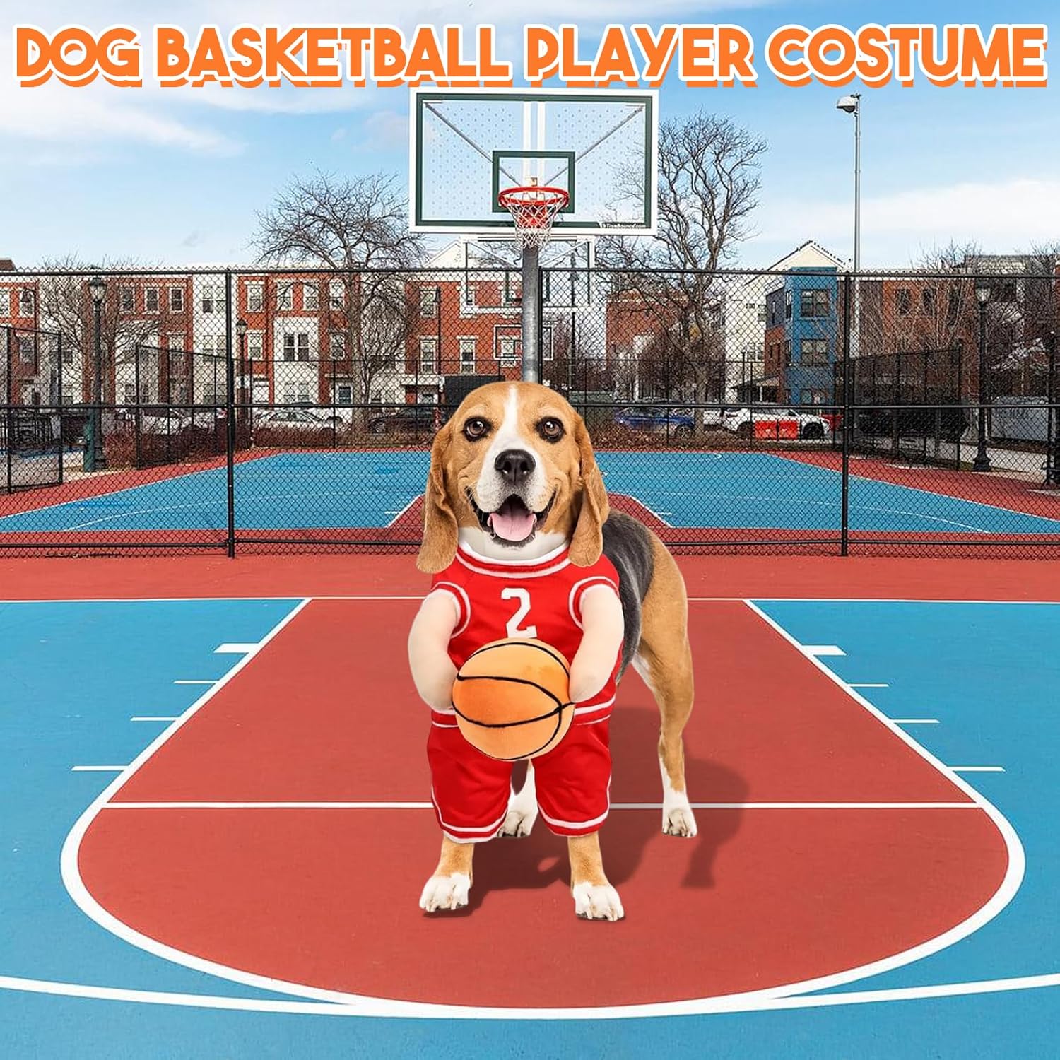 Costume da Cane Basket – Per momenti sportivi adorabili