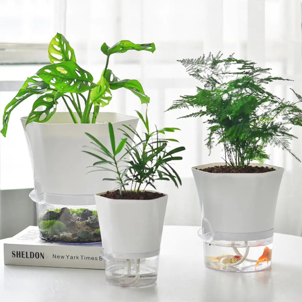 AquaPlanter - Vaso da fiori intelligente e mini acquario in uno
