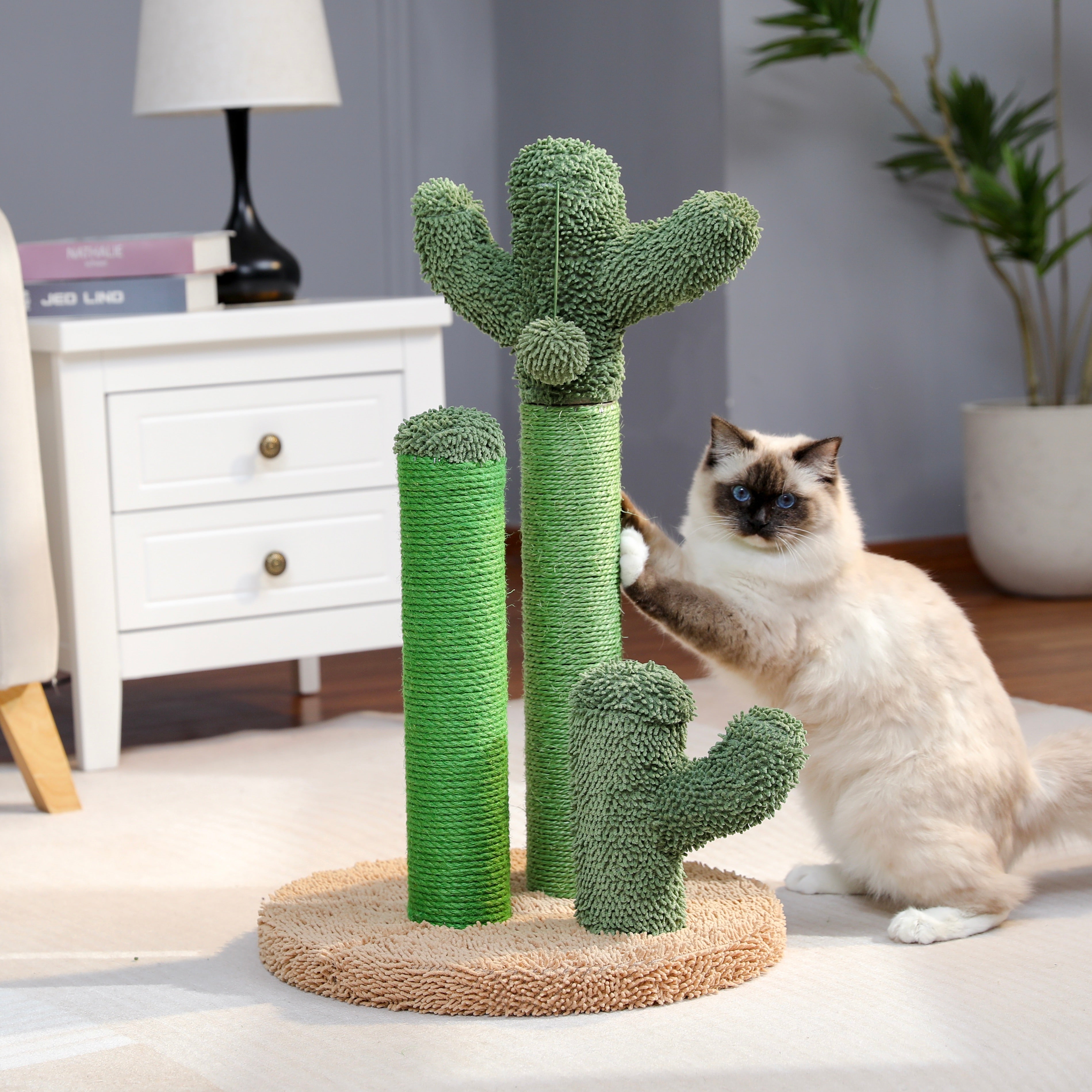 Cactus Tiragraffi – Giocoso e Funzionale per il Tuo Gatto