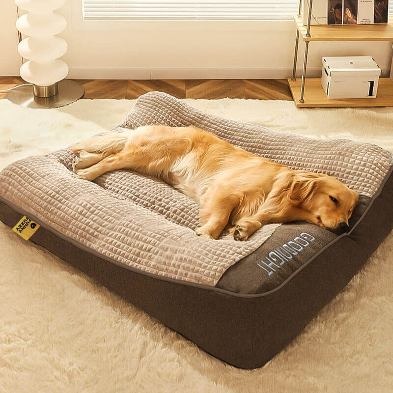 Letto Ortopedico per Cani con Cuscino – Lusso e Comfort
