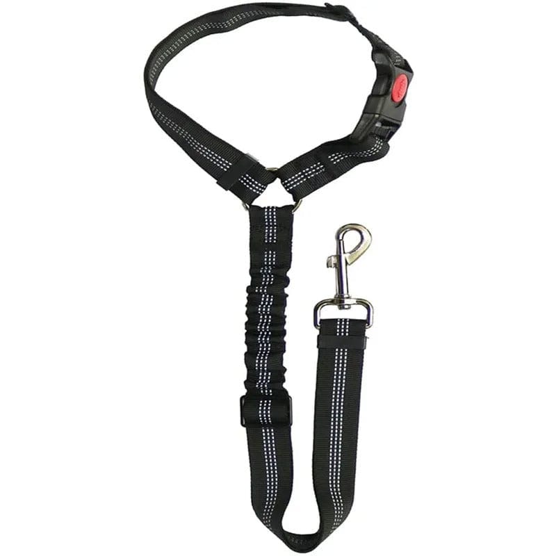 PetSafe - Cintura di Sicurezza Regolabile per Cani
