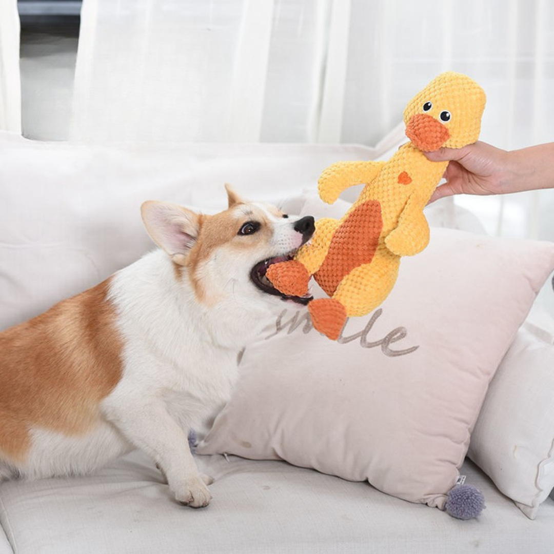 Amici da masticare – Giocattoli in Peluche per Cani